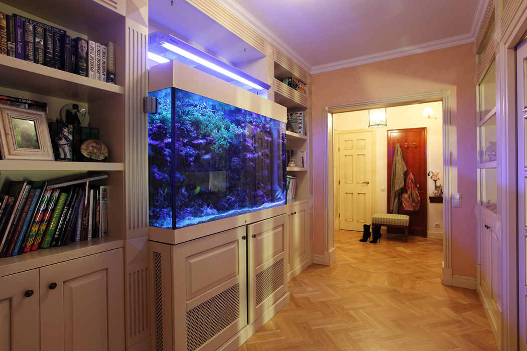 aquarium in de gang