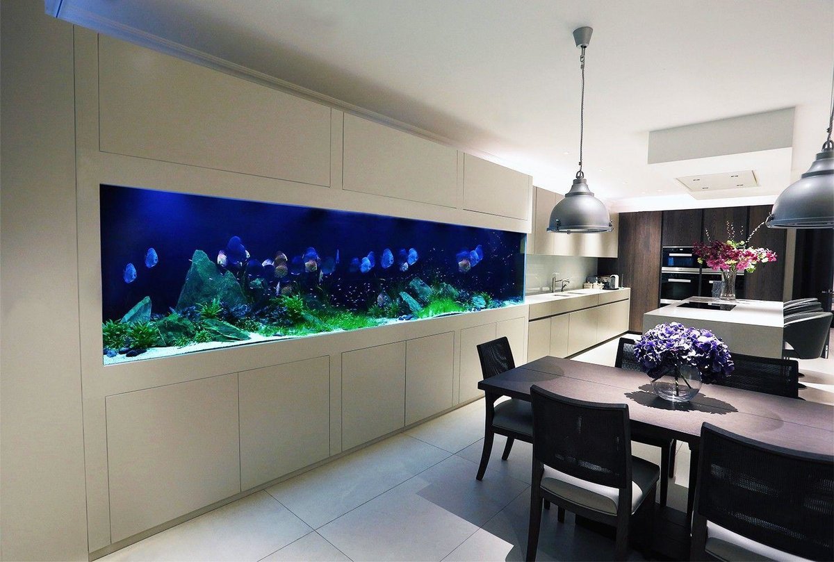 aquarium in het interieur van de keuken