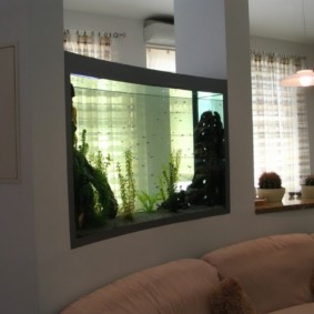 aquarium in appartementontwerpideeën