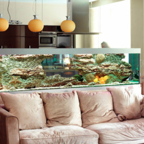 aquarium in het appartement ontwerpideeën