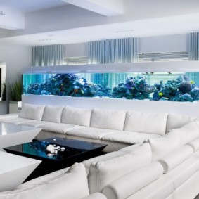 aquarium in het appartement decor