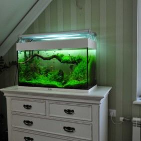 aquarium in het appartement decor ideeën