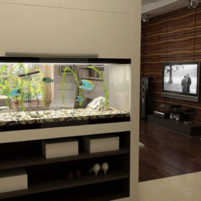 aquarium in het appartement interieur