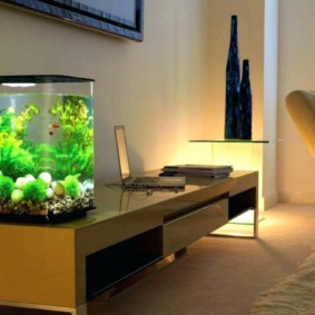 aquarium in appartement interieur ideeën