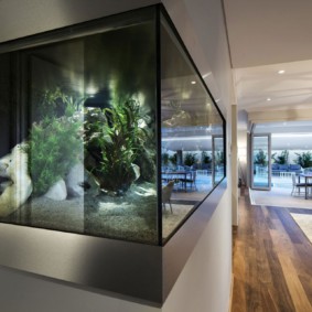 aquarium in het appartement