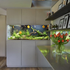 aquarium in het appartement