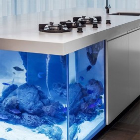 aquarium in het appartement ontwerpideeën