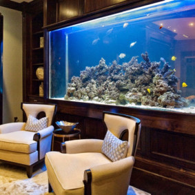 aquarium in het appartement opties