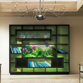 aquarium in het appartement ideeën uitzicht