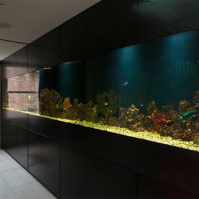 aquarium in het appartement