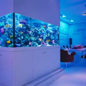 aquarium in het appartement