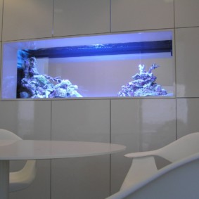 aquarium in appartementontwerp