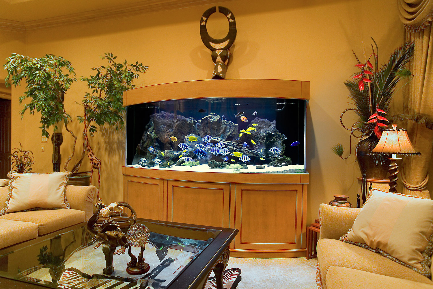 aquarium in het appartement