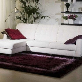 sofa sa mga ideya ng disenyo ng salas