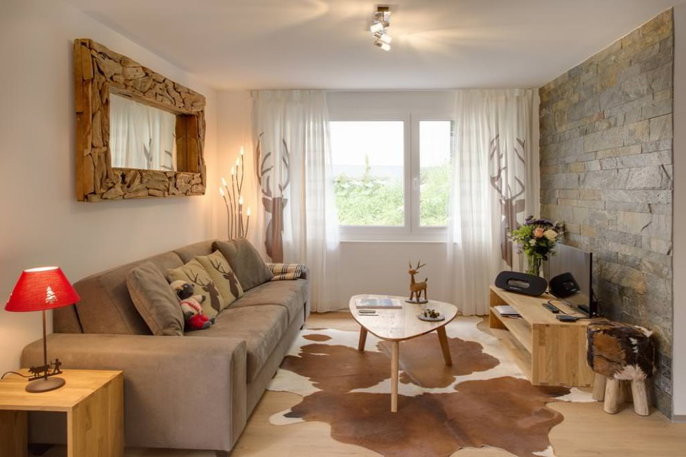 Dzīvojamās istabas dzīvokļa interjers ekoloģiskā stilā
