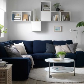 Book shelves over a blue sofa