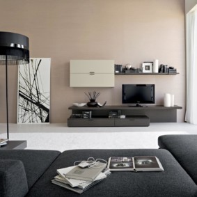 Mobles d'armaris per a la sala amb estil de minimalisme