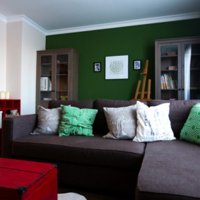 living room in green ideas decor
