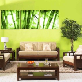 dzīvojamā istaba zaļā interjera idejās