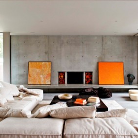Minimalist living room decor