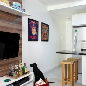 studio apartman površine 27 kvadratnih metara dizajna fotografija