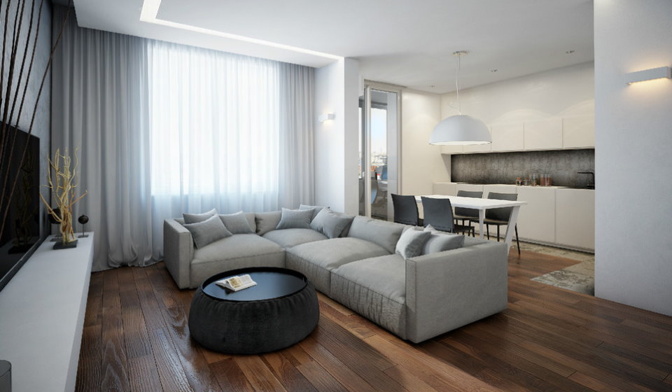 Apartament d'una habitació minimalista