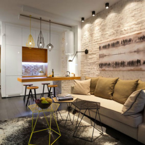 disseny d'un apartament d'estudi amb una superfície de 24 m² opcions fotogràfiques