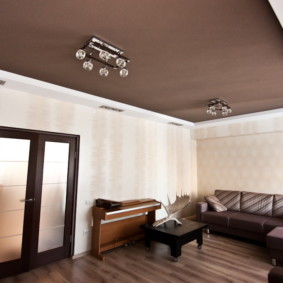 gypsum ceiling for living room photo species