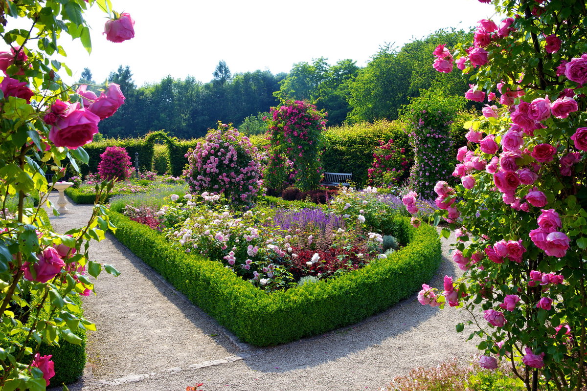 rozen in landschapsontwerpideeën