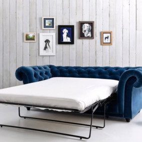 bedroom with sofa photo species