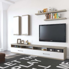 perete TV minimalist