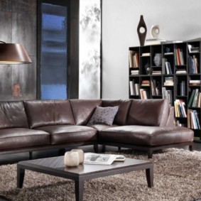 corner sofa in the living room options