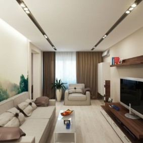 narrow living room in the apartment photo decor
