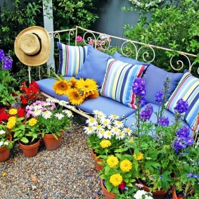 Garden bench surrounded by flowering plants