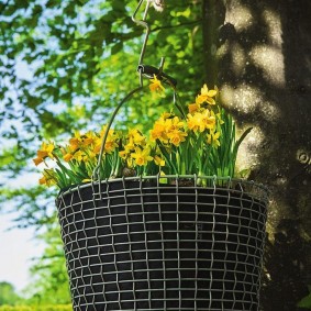Hanging flower pots on a tree in a summer garden