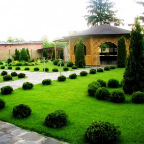 Bãi cỏ xanh trong một ngôi nhà mùa hè