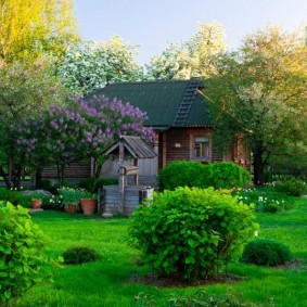 Garden design in Russian style