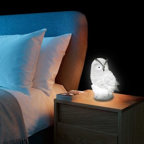 Lampe de nuit chouette élégante pour chambre d'adolescent