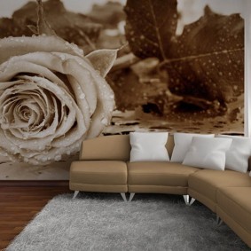 Un trandafir uriaș pe muralul din hol