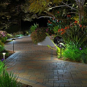 Inexpensive fixtures along the stone path