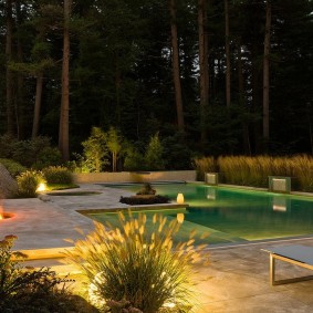 Design of an artificial pond in a modern style