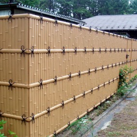 Bambu eskrim taklit ile yüksek çit