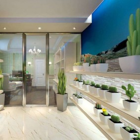 Kaktusi baltajos podos uz plauktiem viesistabā