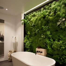 קיר צמחים בחדר האמבטיה