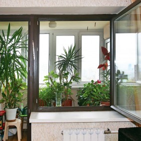 צמחים מקורה במרפסת של דירה בבית פאנל
