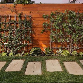 Décor d'une clôture en bois avec des plantes vivantes