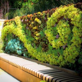 Greening a metal fence with brick pillars