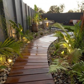 Boardwalk along the garden fence