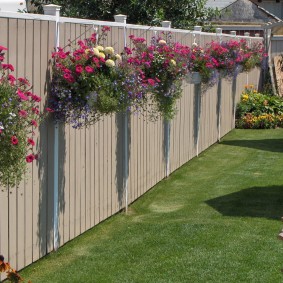 Planter met bloemen op een houten hek