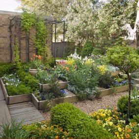 Parterres de fleurs hauts avec côtés en bois